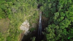 Expedition with Steve Backshall Borneo: Dark Shadow