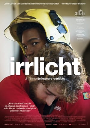 Image Irrlicht