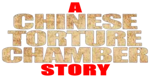 A Chinese Torture Chamber Story