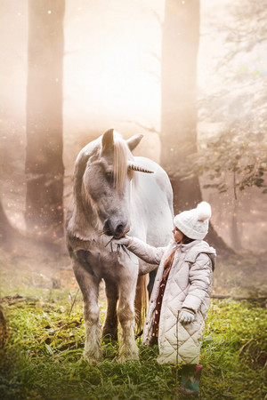 Tale of the Forest Unicorn 10
