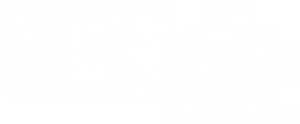 ലോകഃ Chapter 1: ചന്ദ്ര — Logos 2