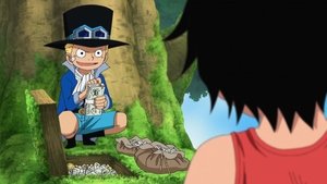 One Piece: Season 13 Episode 494