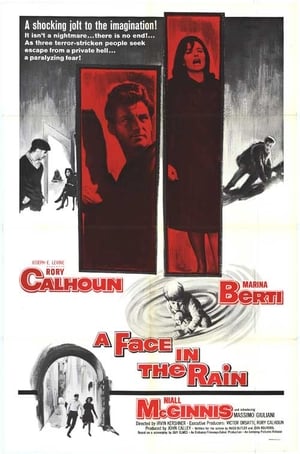 Poster A Face in the Rain 1963