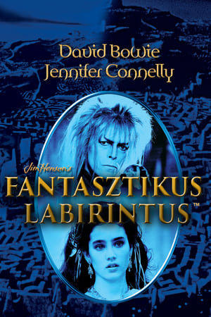 Poster Fantasztikus labirintus 1986