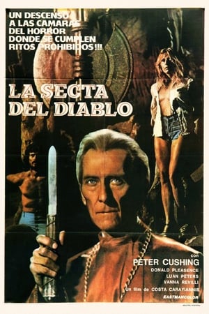 Poster Poseidos por el demonio 1976
