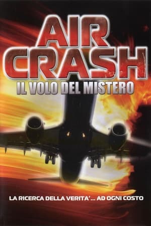Poster NTSB: The Crash of Flight 323 2004