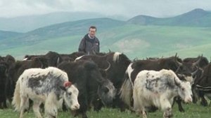 Himalaya with Michael Palin The Roof of the World