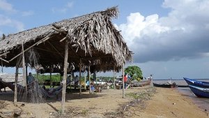 Le Sud sauvage
