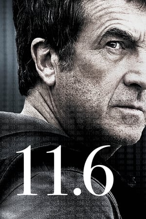 Poster 11,6 millió 2013