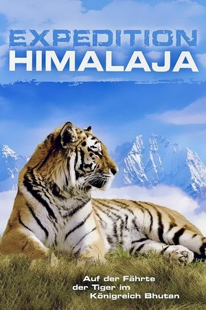 Image Expedition Himalaja - Auf der Fährte der Tiger im Königreich Bhutan