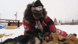 Iditarod: Toughest Race on Earth Chase on the Yukon