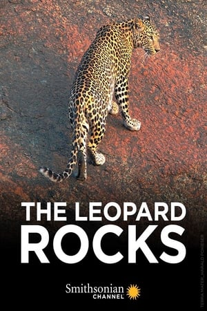 Poster The Leopard Rocks 2018