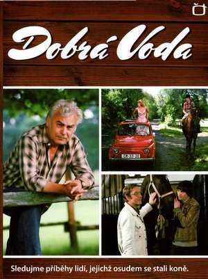 Poster Dobrá Voda 1983