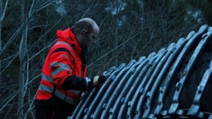 Ice Road Rescue Into the Woods