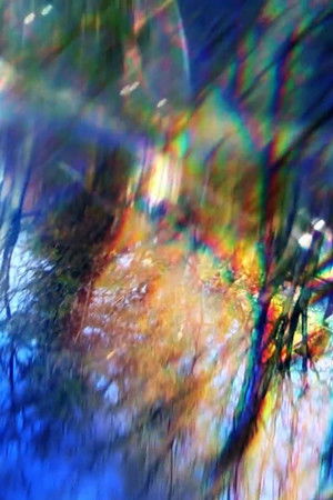 An Autumn Follows The Hearse