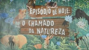 O Chamado da Natureza