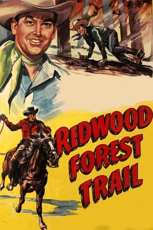 Poster Redwood Forest Trail 1950