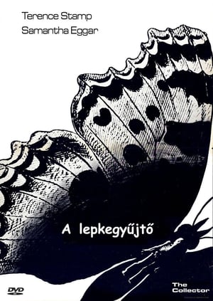 Poster A lepkegyűjtő 1965