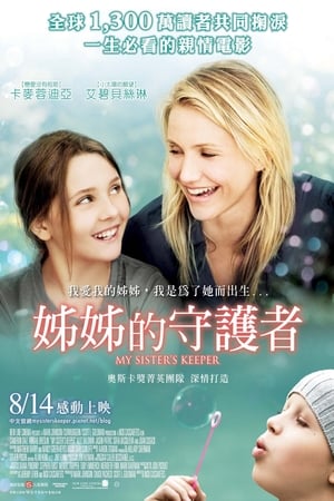 Poster 姐姐的守护者 2009