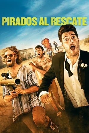 Poster Pirados al rescate 2014