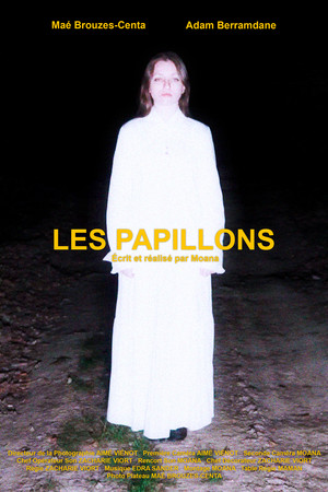 Les Papillons 4