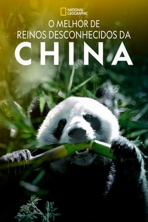 Poster The Hidden Kingdoms of China 2020