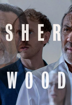 Постер сериала «Шервуд (2022)» — (12 из 31)