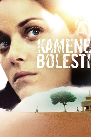 Poster Kamene bolesti 2016