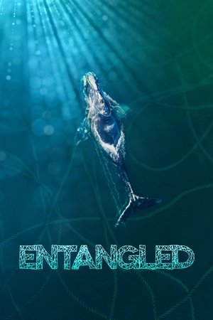 Entangled: The Race to Save Right Whales from Extinction (2020) Entangled: The Race to Save Right Whales from Extinction (2020)
