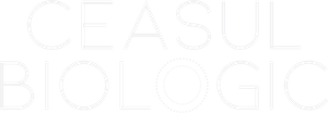 Clock — Logos 5