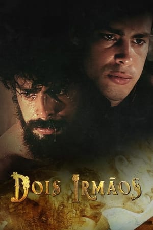 Poster Dois Irmãos 2017