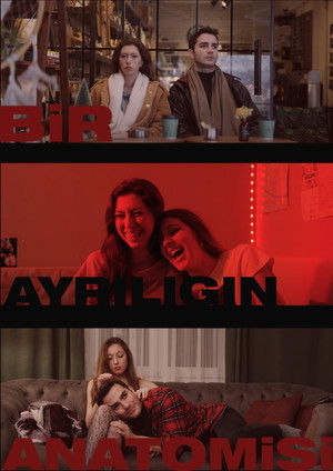 Bir Ayrılığın Anatomisi