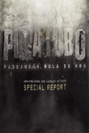 Pinatubo: Rising from the Ashes 3