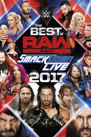 Poster WWE Best of Raw & SmackDown Live 2017 2018