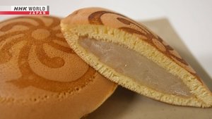 Journeys in Japan: 15×4