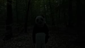 The Wild Panda