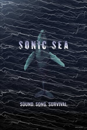 watch-Sonic Sea