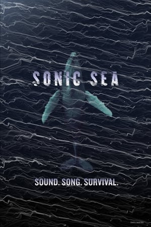 Image Sonic Sea