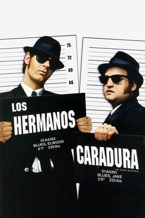 The Blues Brothers