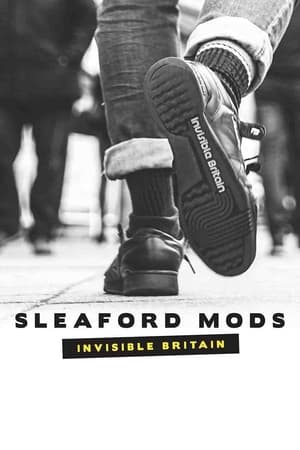 Poster Sleaford Mods: Invisible Britain (2015)