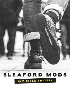 Poster Sleaford Mods: Invisible Britain 2015
