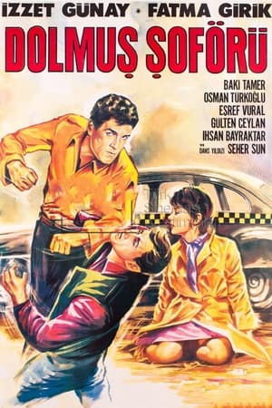 Dolmus Driver poster