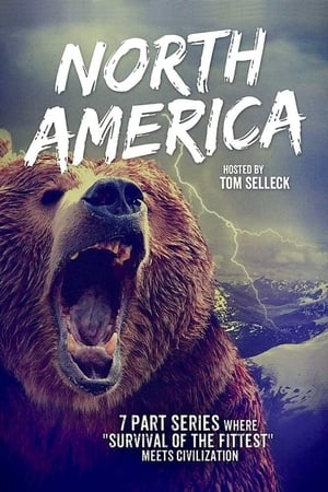 North America film complet