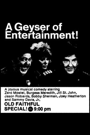 Poster Old Faithful (1973)