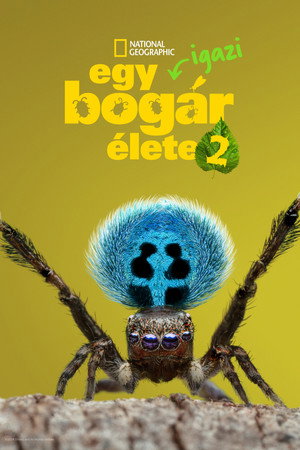 2. évad