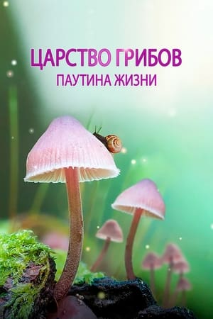 Image Царство грибов: паутина жизни