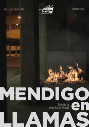 Poster Mendigo en Llamas (2011)