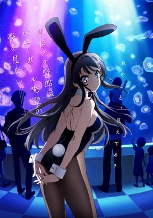 Image Seišun buta jaró wa Bunny Girl-senpai no jume o minai