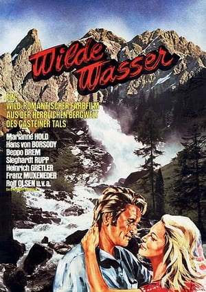 Poster Wilde Wasser 1962