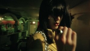 Fallen Angels ( 1995 )